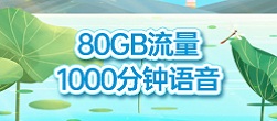 80G 1000分钟