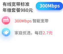 300兆单宽带包年套餐