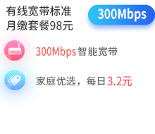 300兆单宽带包月套餐