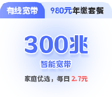 300兆单宽带包年套餐