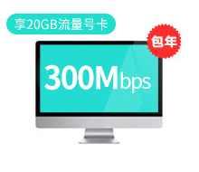 300Mbps包年960元