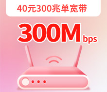 40元300兆单宽带