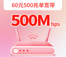60元500兆单宽带